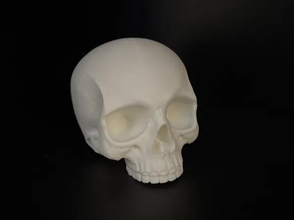 https://makerworld.bblmw.com/makerworld/model/US9bf6e49245ecc7/design/2025-08-26_f2c4216eefbb78.jpeg