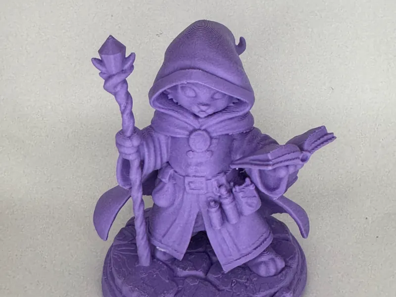 DnD Pets - Cat Mage (Scratch the Sorcerer)