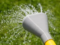 Gießkannenaufsatz Breiter Wasserstrahl