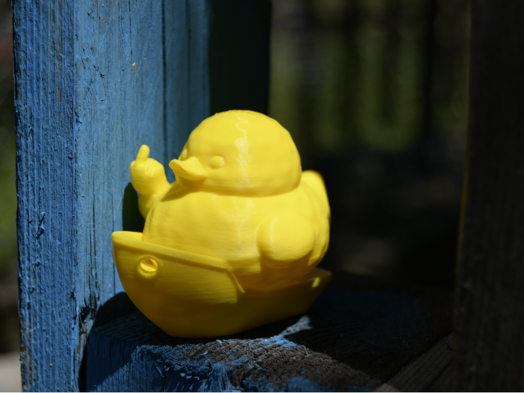 Rebellious funny benchy duck