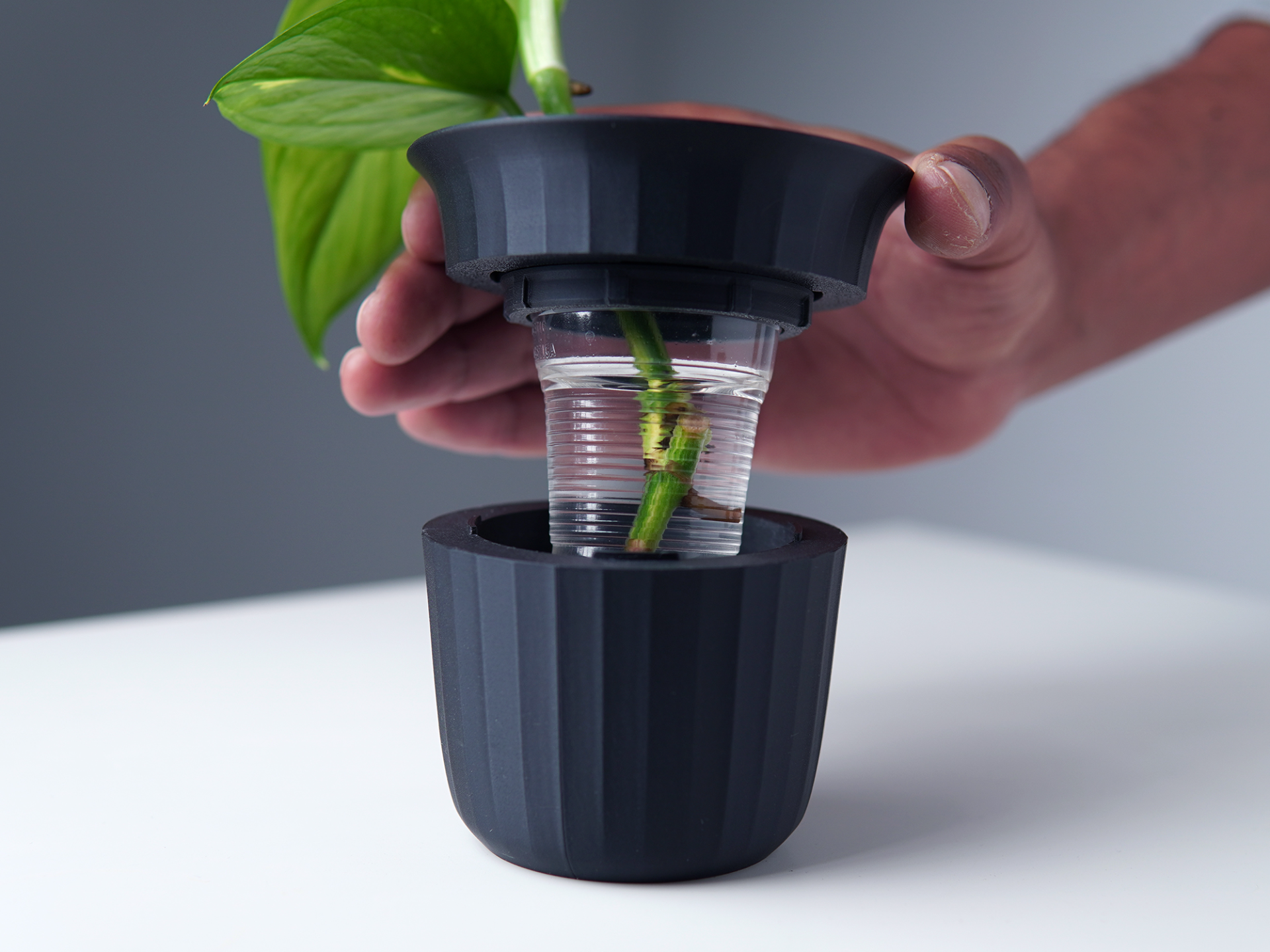 Propagation Flower Vase | PV04