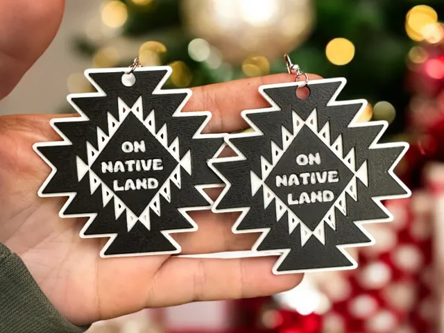 On Native Land Earrings