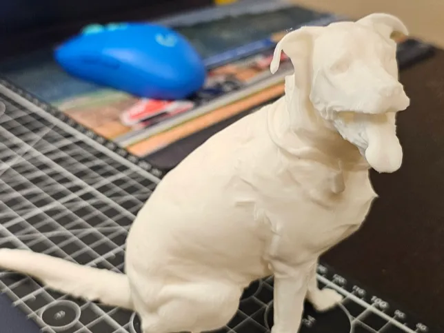 Black Lab (Zeus)