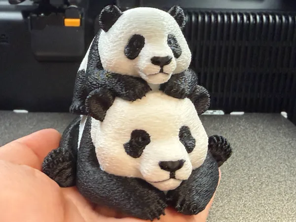 https://makerworld.bblmw.com/makerworld/model/US9c0663bb5ed401/design/b078b957936cacab.png