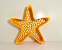 Large Starfish Sand Sifter-0.2mm layer, 2 walls, 15% infill