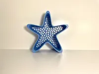 Small Starfish Sand Sifter-0.2mm layer, 2 walls, 15% infill