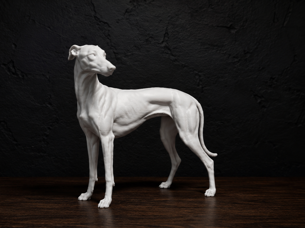 Greyhound - Animal - Dog - Decor