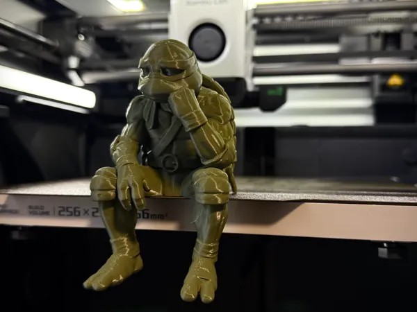 https://makerworld.bblmw.com/makerworld/model/US9c0a49801022e8/design/837b77025d318d17.jpeg