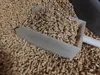 0.2mm layer, 3 walls, 15% infill