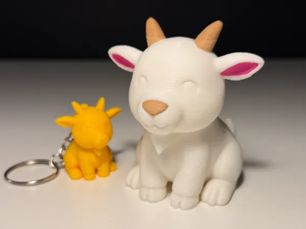 https://makerworld.bblmw.com/makerworld/model/US9c0f62c223456d/design/8b55c4b28b6a0af0.jpg