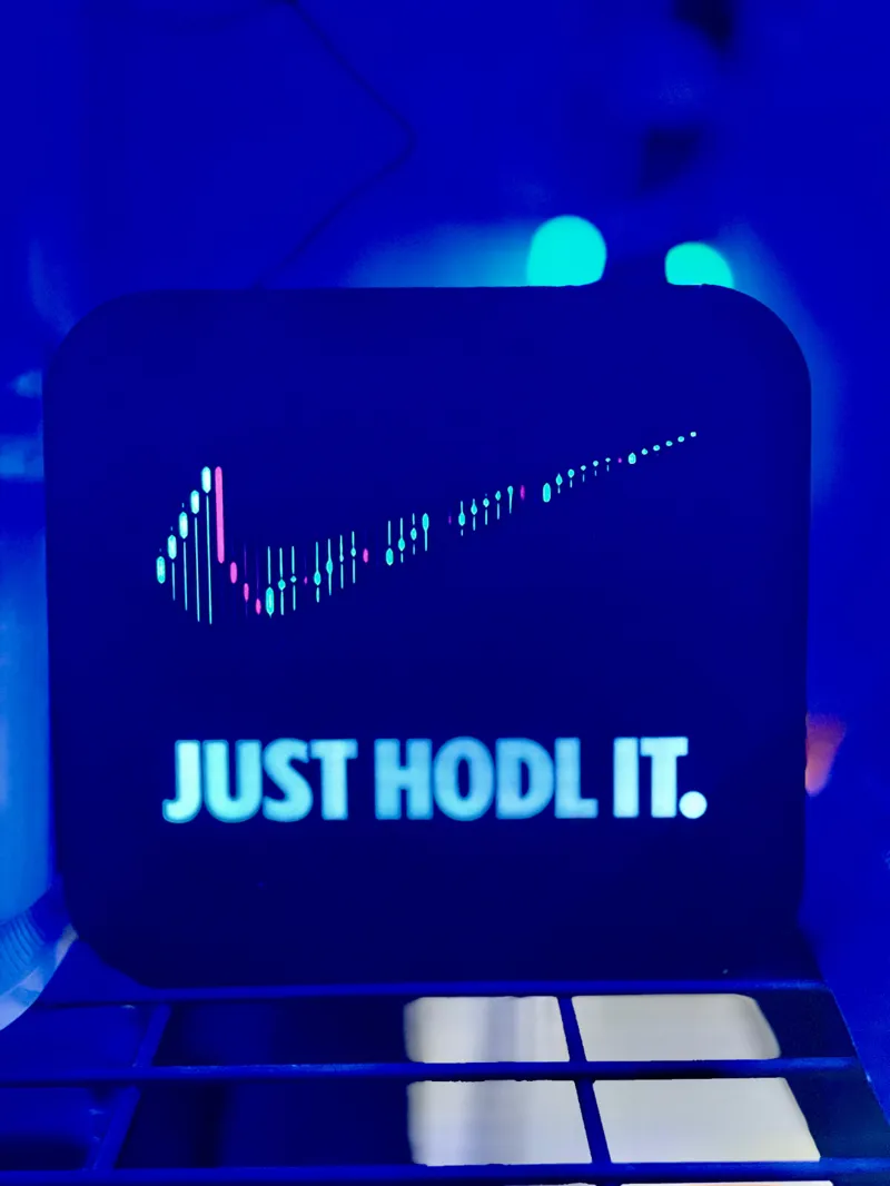 Just Hodl It. Light box