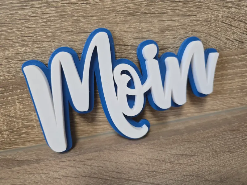 MOIN LOGO SCHILD