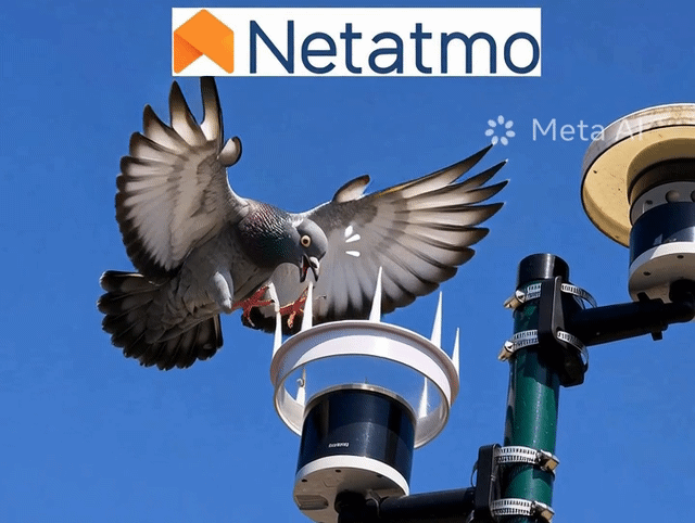 Spikes for Rain Meter Netatmo