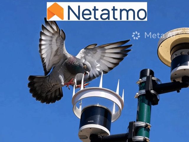 Spikes for Rain Meter Netatmo
