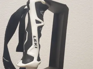 Ski Stock Schutz