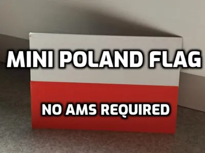 MINI Poland Flag (AMS or NO AMS)