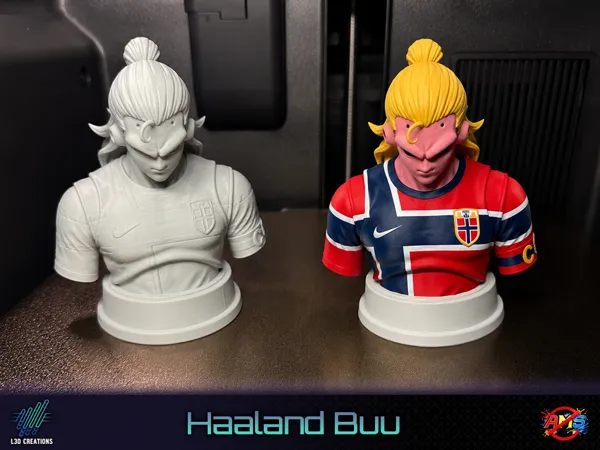 https://makerworld.bblmw.com/makerworld/model/US9c245135bb5b41/design/27e4c330e69e49c7.png