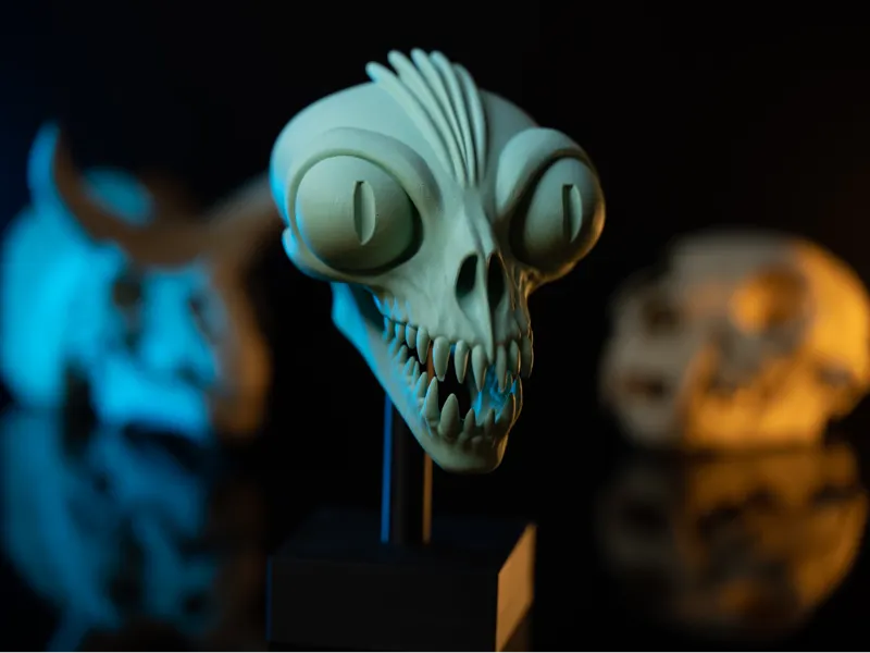 Praying Mantis Skull on Base
