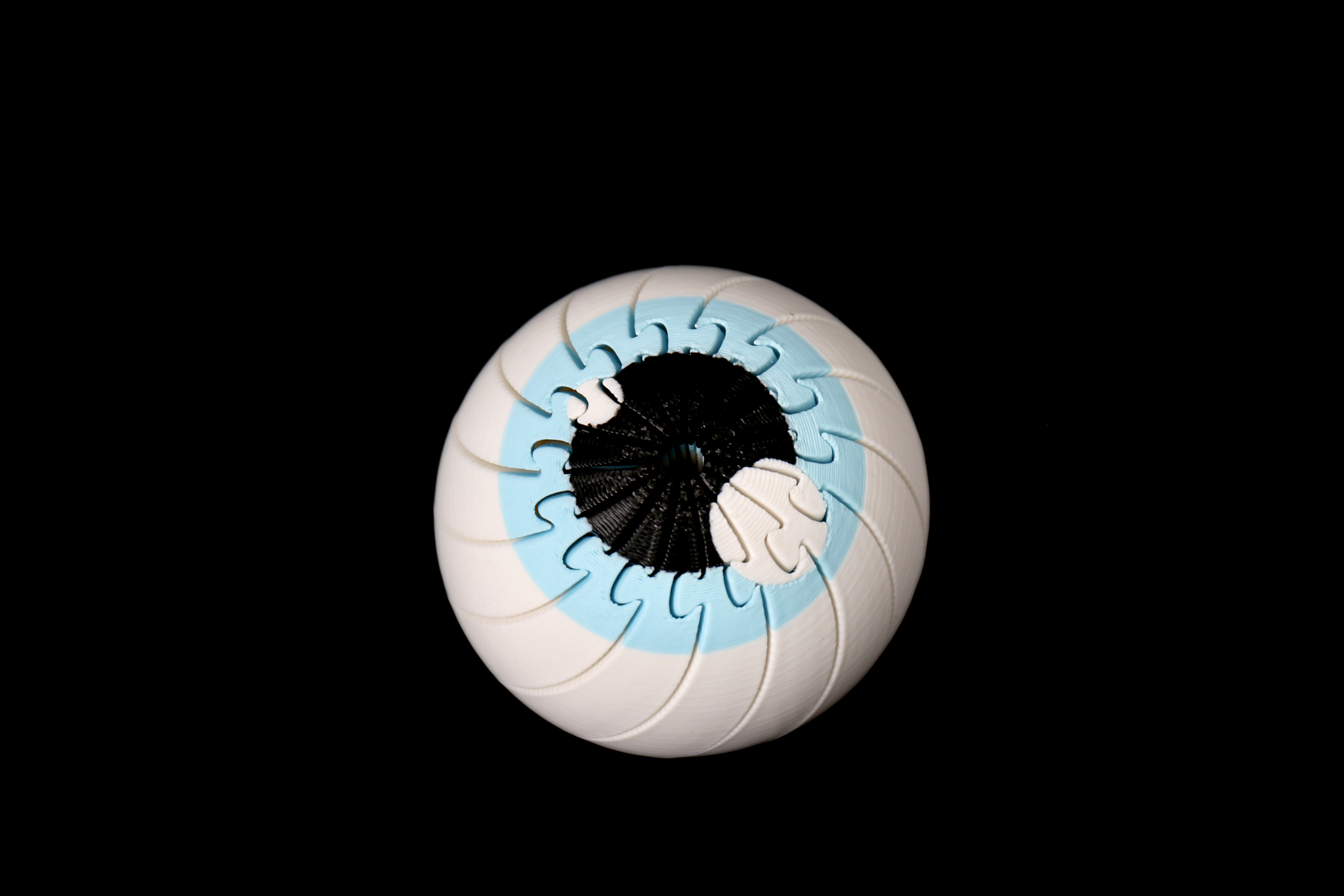 Miniatura 1 do modelo 3D 扭扭眼球解压玩具