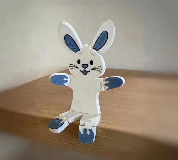 https://makerworld.bblmw.com/makerworld/model/US9c2c8f1bb1c32e/design/2024-03-11_a6fccb56db22.jpeg