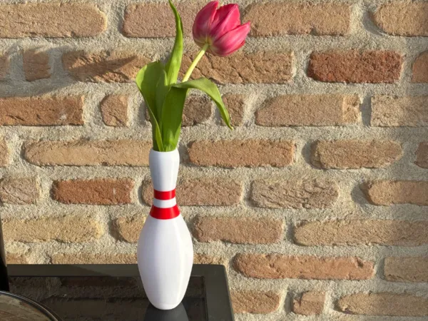 https://makerworld.bblmw.com/makerworld/model/US9c341031812239/design/2025-04-20_4b5102e53b935.jpg