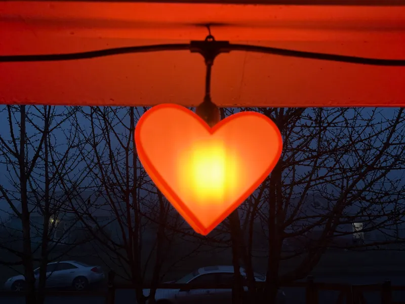 Heart Shaped bulb cover for LED Bulbs & festoons