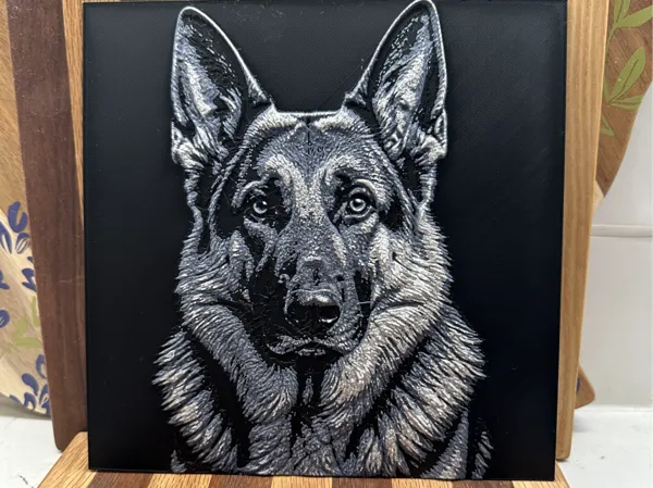 https://makerworld.bblmw.com/makerworld/model/US9c3cbfba138e7a/design/c82d5939d426beac.jpg