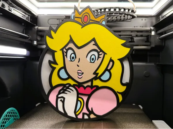 https://makerworld.bblmw.com/makerworld/model/US9c3f9c6a5351af/design/2025-03-27_31941b1590d69.jpg