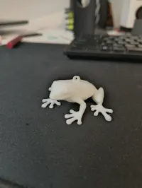 Porte-clés grenouille — photo 3