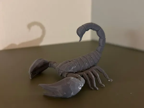 https://makerworld.bblmw.com/makerworld/model/US9c440912ffb6a3/design/2025-02-07_71c518c42655d.jpg