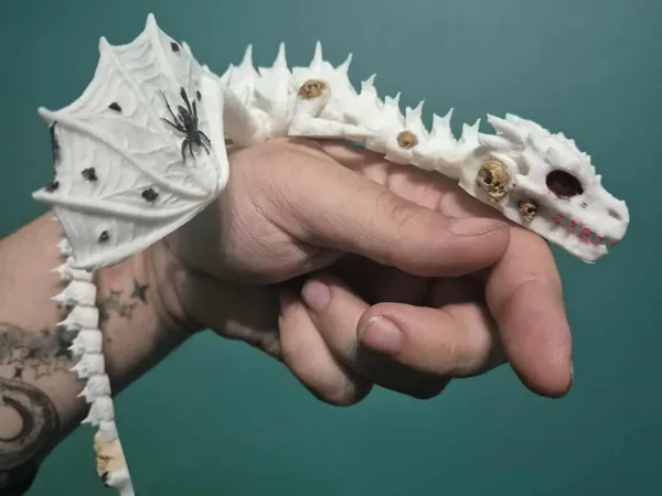 https://makerworld.bblmw.com/makerworld/model/US9c443679a6923c/design/2025-10-01_ef162155d369c8.jpg