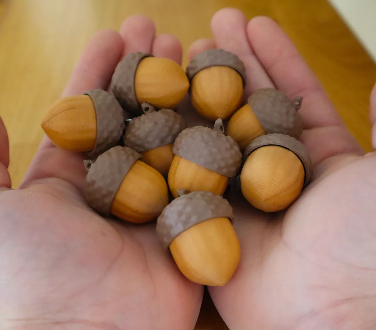Acorn clicker view 2
