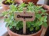 Herb marker set 15 different herbs English version