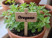 Herb marker set 15 different herbs English version