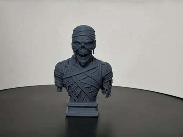 https://makerworld.bblmw.com/makerworld/model/US9c4aa374a4ad0d/design/2025-05-07_6caa8053c2bc78.jpg