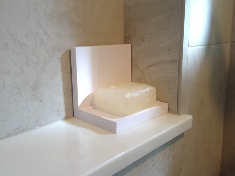 SoapDish