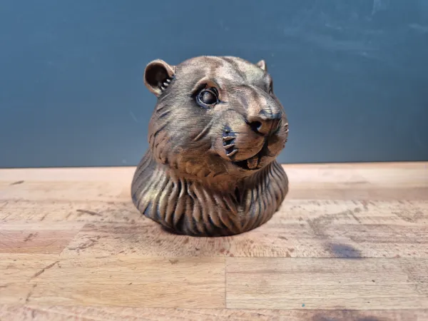 https://makerworld.bblmw.com/makerworld/model/US9c4dae539eb127/design/2025-10-29_b331cf03ead6b8.jpg