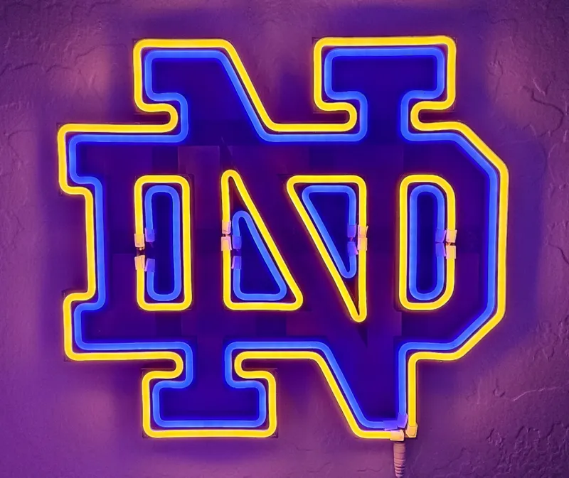 Notre Dame LED Light