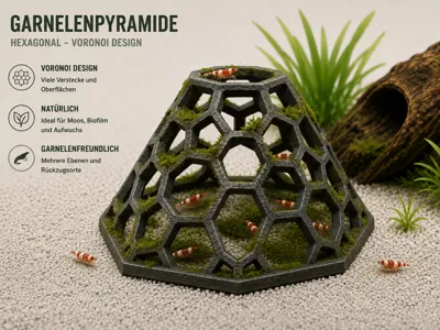 Hexagonal Voronoi Shrimp Pyramid
