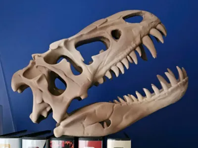 Dinosaur Head Skeleton