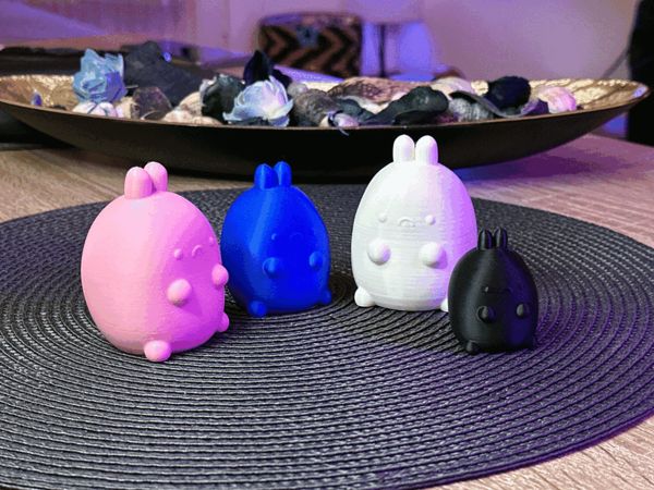 https://makerworld.bblmw.com/makerworld/model/US9c508d6fbc9b2a/design/2024-02-17_93a94ea83f46d.gif
