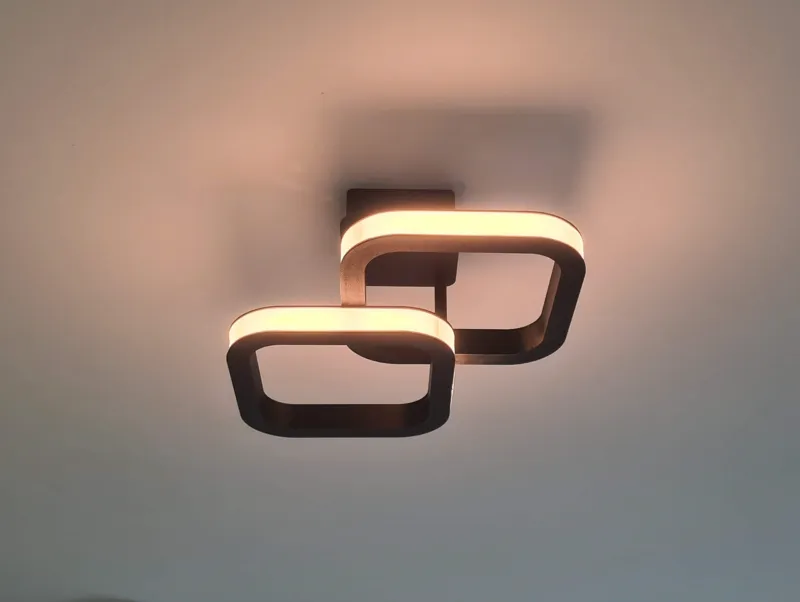 Dual LED ceiling hang lamp
