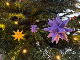 Weihnachtsstern / Dekostern / Herrnhuter Stern
