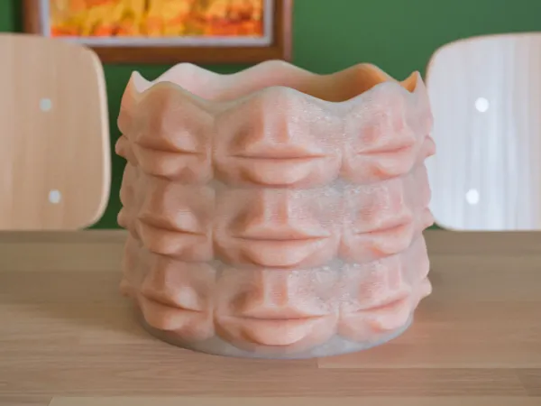https://makerworld.bblmw.com/makerworld/model/US9c6324f8cdafb3/design/2024-12-15_eea1cbb44431d.png