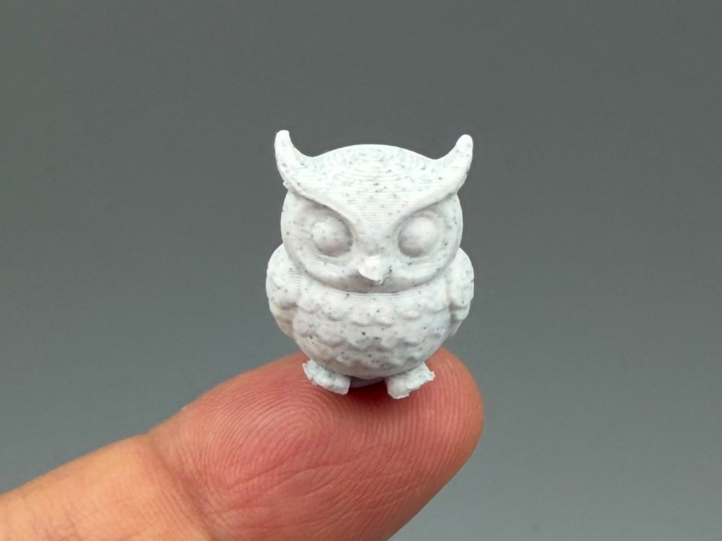 Pocket Smallest Owl