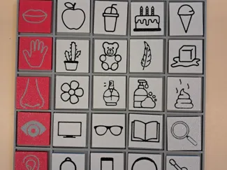 zintuigenspel
