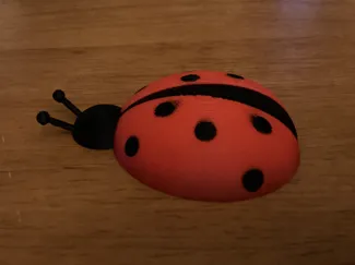 Lady Bug Pin