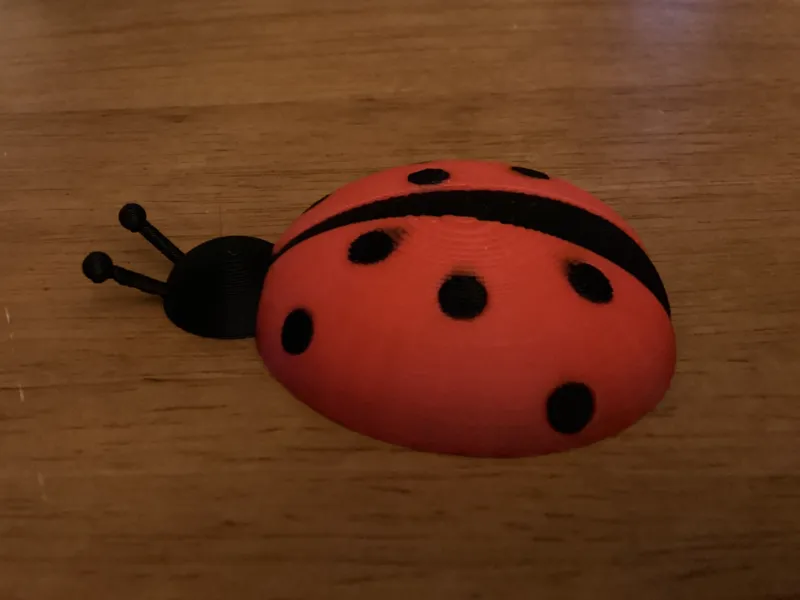 Lady Bug Pin