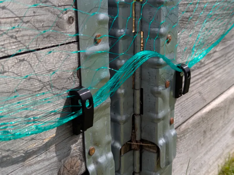 Birdnet Hook 