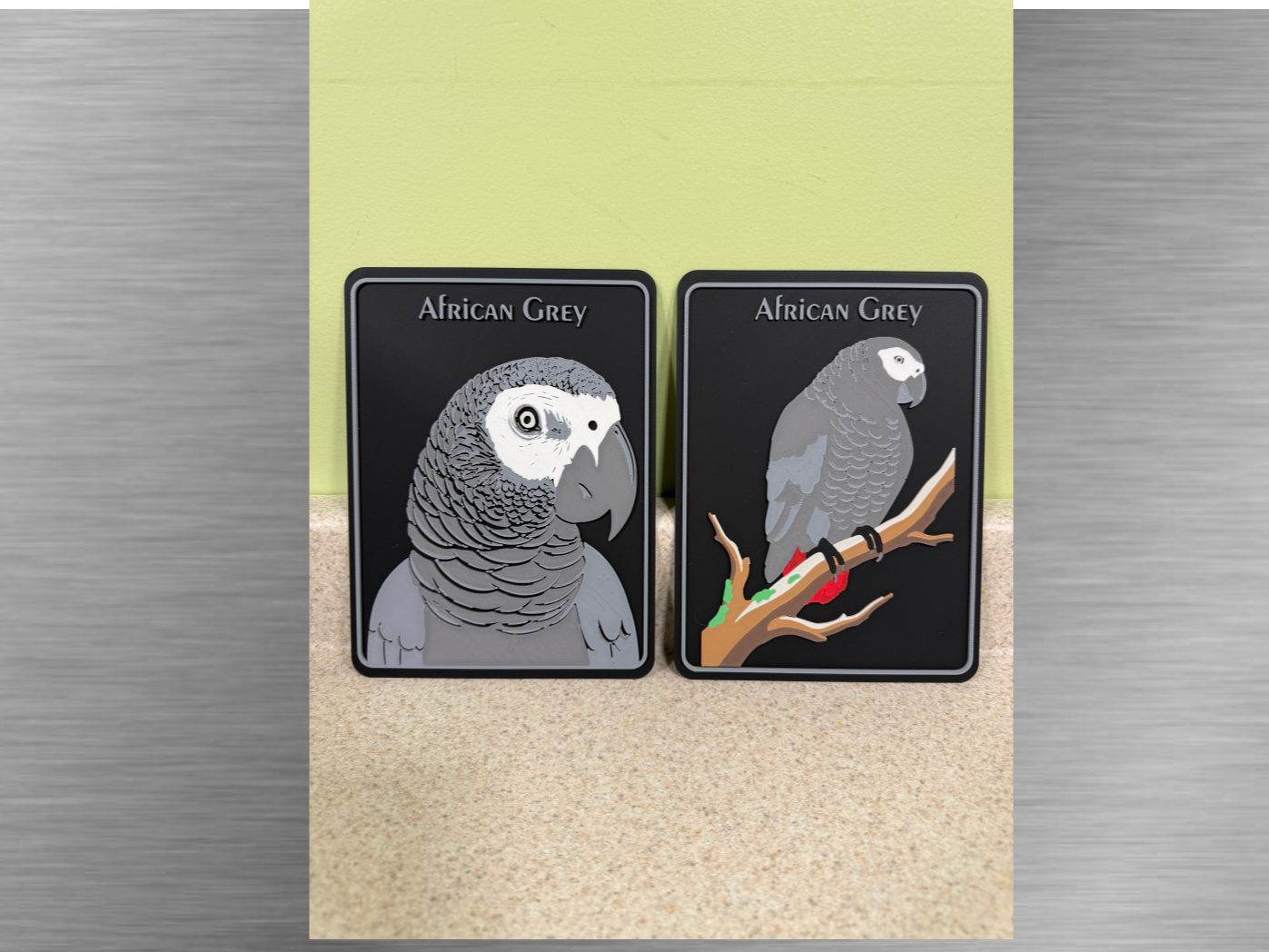 Exotic birds -Parrot -African Grey